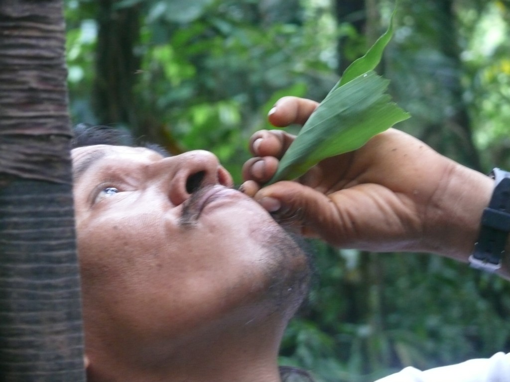 Yasuni - Huaorani  - copyright Save America's Forests